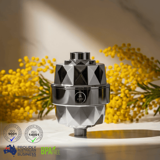 HolyH₂O Shower Mate chlorine shower filter