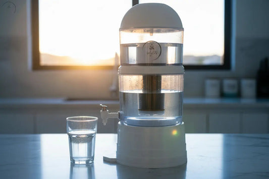 Best Water Filter to Replace Bottled Water Australia 2026 | HolyH2O