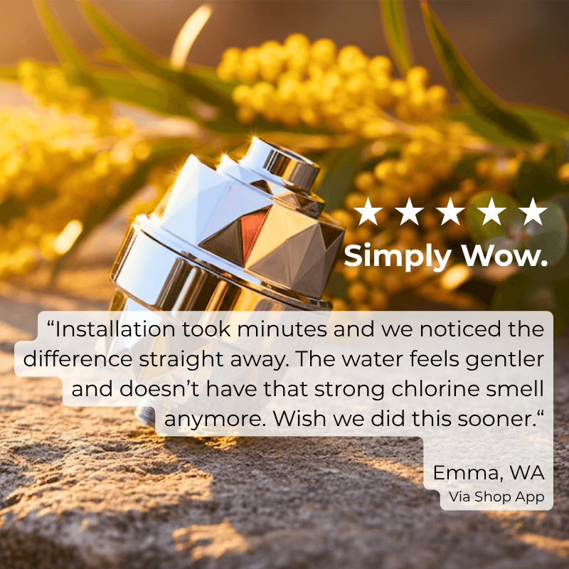 HolyH2O Shower Mate compact shower filter for chlorine reduction and softer skin and hair in standard shower setup