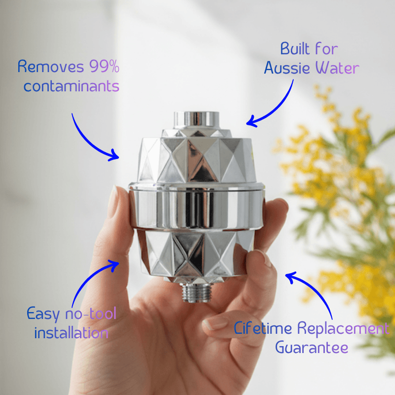 HolyH2O Shower Mate compact shower filter for chlorine reduction and softer skin and hair in standard shower setup